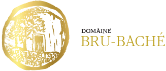 Bru-Baché