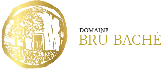 Bru-Baché